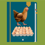 Egg Production