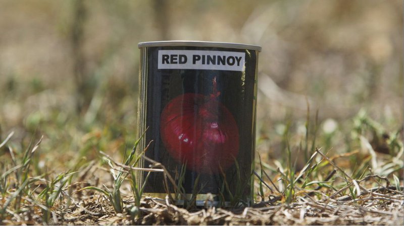 Onions Red Pinnoy
