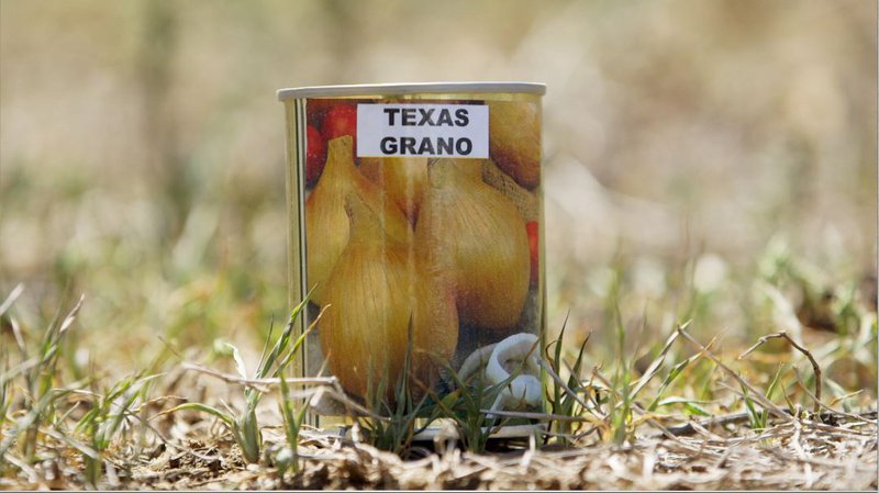 Onions Texas Grano