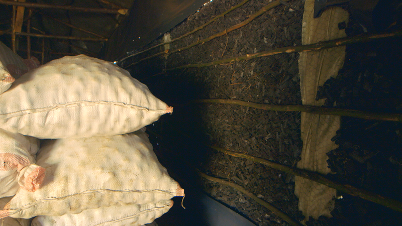 potatoes in charcoal store